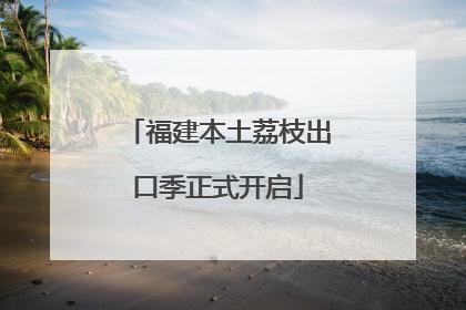 福建本土荔枝出口季正式开启