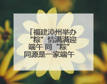 福建漳州举办“粽”情满满迎端午 同“粽”同源是一家端午联谊活动
