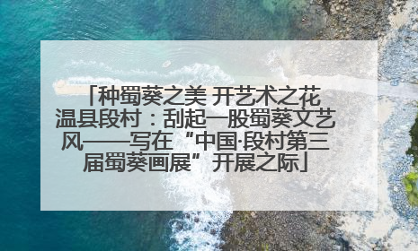种蜀葵之美 开艺术之花 温县段村：刮起一股蜀葵文艺风——写在“中国·段村第三届蜀葵画展”开展之际