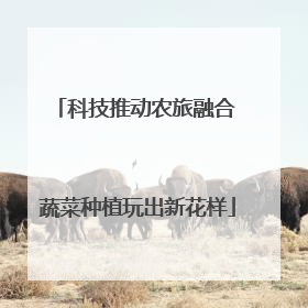 科技推动农旅融合 蔬菜种植玩出新花样
