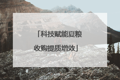 科技赋能夏粮收购提质增效