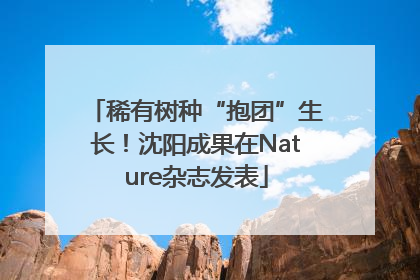稀有树种“抱团”生长！沈阳成果在Nature杂志发表