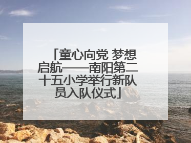 童心向党 梦想启航——南阳第二十五小学举行新队员入队仪式