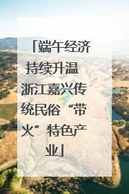 端午经济持续升温 浙江嘉兴传统民俗“带火”特色产业
