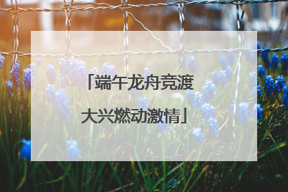 端午龙舟竞渡 大兴燃动激情