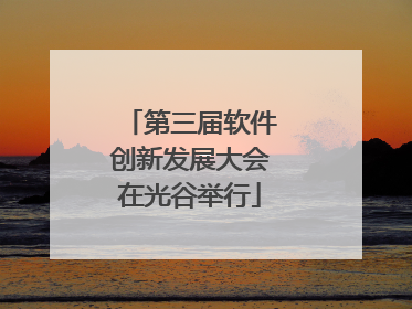 第三届软件创新发展大会在光谷举行