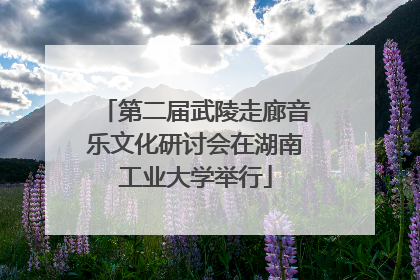 第二届武陵走廊音乐文化研讨会在湖南工业大学举行