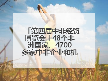 第四届中非经贸博览会丨48个非洲国家、4700多家中非企业和机构将参会