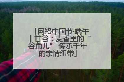 网络中国节·端午丨甘谷：麦香里的“谷角儿” 传承千年的亲情纽带