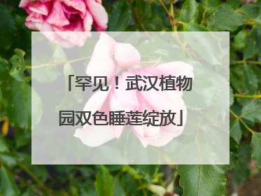 罕见！武汉植物园双色睡莲绽放