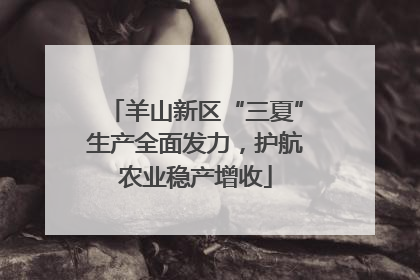 羊山新区“三夏”生产全面发力，护航农业稳产增收