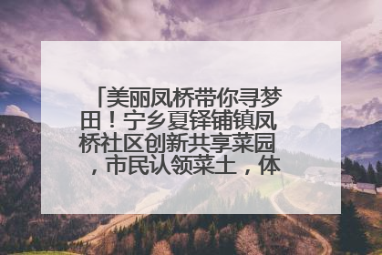 美丽凤桥带你寻梦田！宁乡夏铎铺镇凤桥社区创新共享菜园，市民认领菜土，体验耕种收获乐趣