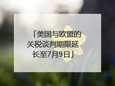 美国与欧盟的关税谈判期限延长至7月9日