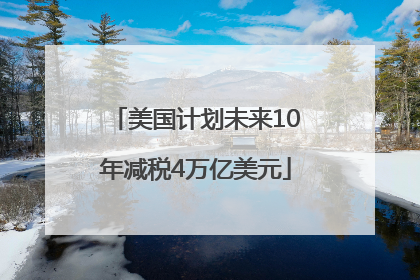 美国计划未来10年减税4万亿美元