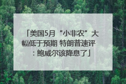 美国5月“小非农”大幅低于预期 特朗普速评：鲍威尔该降息了