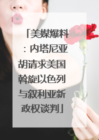 美媒爆料：内塔尼亚胡请求美国斡旋以色列与叙利亚新政权谈判