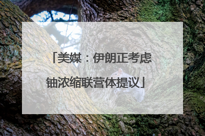 美媒：伊朗正考虑铀浓缩联营体提议