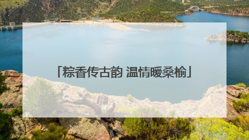 粽香传古韵 温情暖桑榆