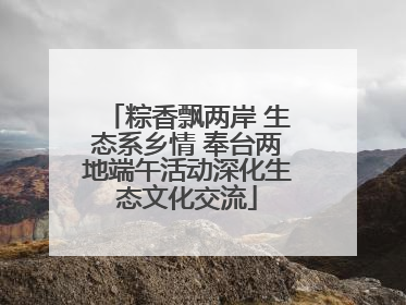 粽香飘两岸 生态系乡情 奉台两地端午活动深化生态文化交流