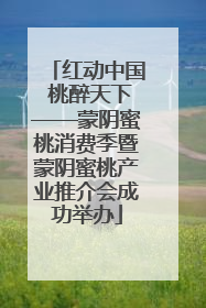 红动中国 桃醉天下——蒙阴蜜桃消费季暨蒙阴蜜桃产业推介会成功举办