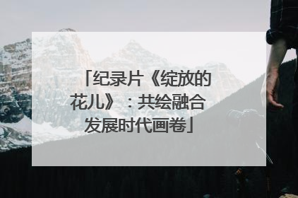 纪录片《绽放的花儿》：共绘融合发展时代画卷