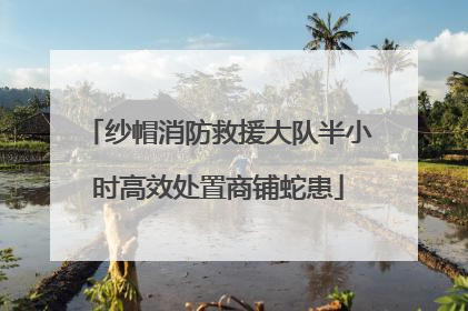 纱帽消防救援大队半小时高效处置商铺蛇患