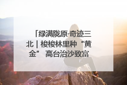 绿满陇原·奇迹三北｜梭梭林里种“黄金” 高台治沙致富很“从容”