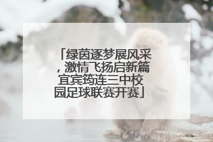 绿茵逐梦展风采，激情飞扬启新篇 宜宾筠连三中校园足球联赛开赛