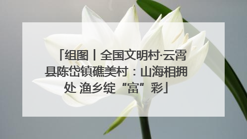 组图丨全国文明村·云霄县陈岱镇礁美村：山海相拥处 渔乡绽“富”彩
