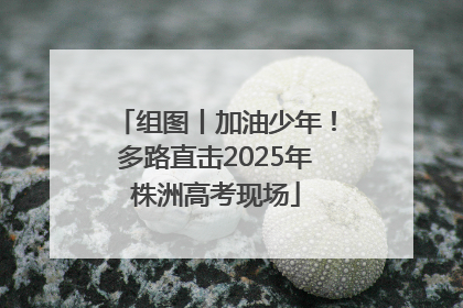 组图丨加油少年！多路直击2025年株洲高考现场