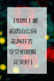 组图丨邂逅虎山公园花海芬芳 享受初夏限定美好
