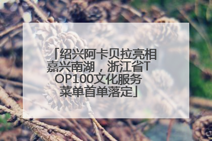 绍兴阿卡贝拉亮相嘉兴南湖，浙江省TOP100文化服务菜单首单落定