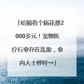 给猫看个病花费2000多元！宠物医疗行业存在乱象，业内人士呼吁→