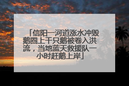 信阳一河道涨水冲毁鹅圈上千只鹅被卷入洪流，当地蓝天救援队一小时赶鹅上岸