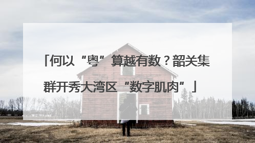 何以“粤”算越有数？韶关集群开秀大湾区“数字肌肉”