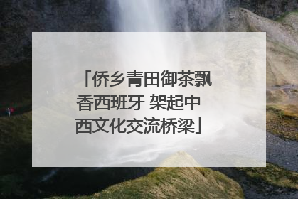 侨乡青田御茶飘香西班牙 架起中西文化交流桥梁