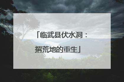 临武县伏水洞：撂荒地的重生