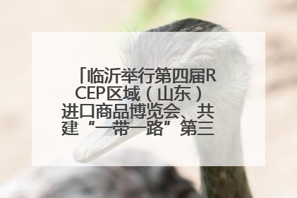 临沂举行第四届RCEP区域（山东）进口商品博览会、共建“一带一路”第三届临沂商城国际采购商大会新闻发布会