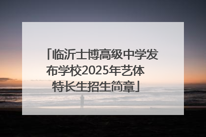 临沂士博高级中学发布学校2025年艺体特长生招生简章