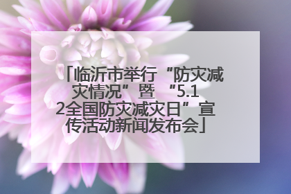 临沂市举行“防灾减灾情况”暨 “5.12全国防灾减灾日”宣传活动新闻发布会