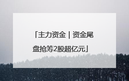 主力资金｜资金尾盘抢筹2股超亿元