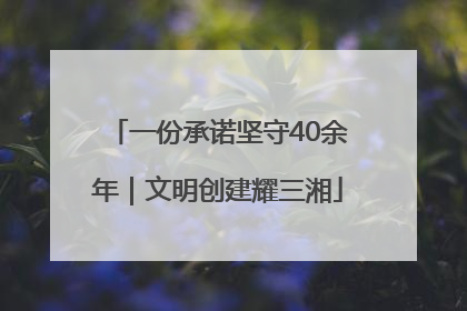 一份承诺坚守40余年｜文明创建耀三湘