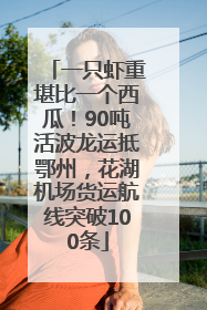 一只虾重堪比一个西瓜！90吨活波龙运抵鄂州，花湖机场货运航线突破100条