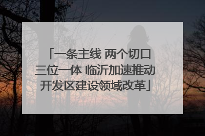 一条主线 两个切口 三位一体 临沂加速推动开发区建设领域改革