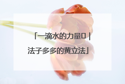 一滴水的力量⑬｜法子多多的黄立法