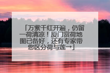 万紫千红开遍，仍留一荷清凉！厦门赏荷地图已备好，还有专家带您区分荷与莲→