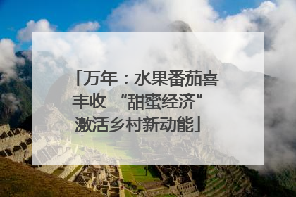 万年：水果番茄喜丰收 “甜蜜经济”激活乡村新动能