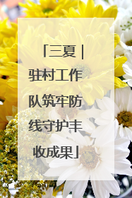 三夏｜驻村工作队筑牢防线守护丰收成果