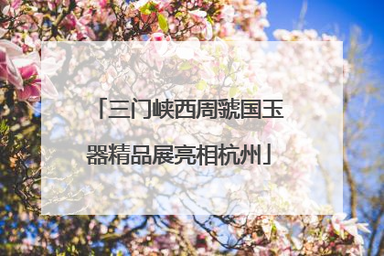三门峡西周虢国玉器精品展亮相杭州
