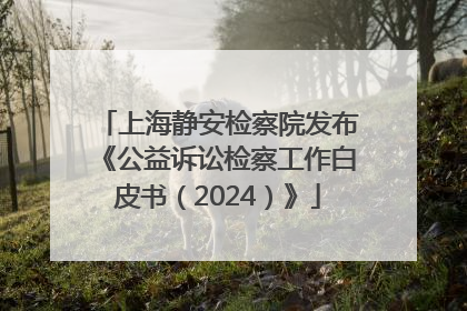 上海静安检察院发布《公益诉讼检察工作白皮书（2024）》